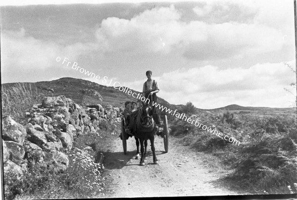 MC NULTYS IN CART ON HILLSIDE